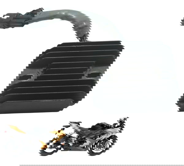 Retificador Carga C/ Det Suzuki Gsx-r Srad 1000 08-10 Orig 00