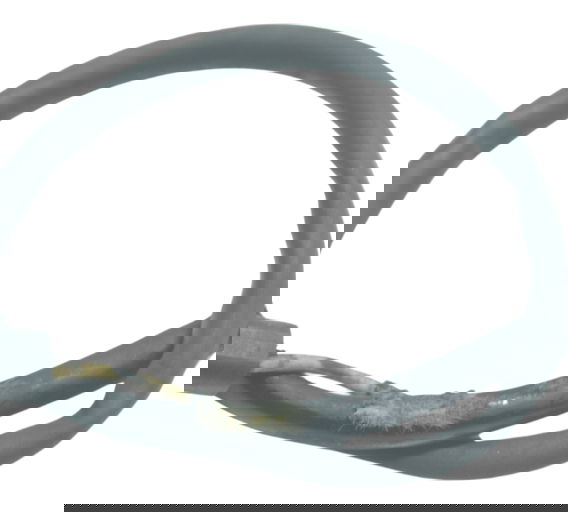 Chicote Sensor Neutro Harley 883 R Sportster 08-09 Original