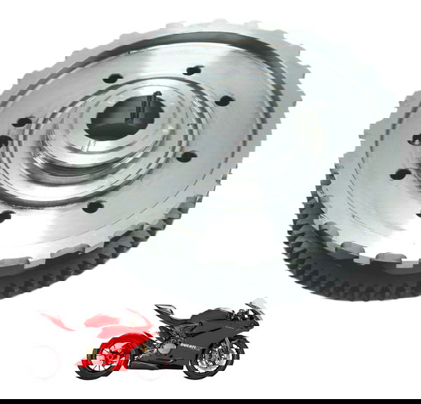 Placa Partida Ducati Panigale 1299 S 16-18 Original