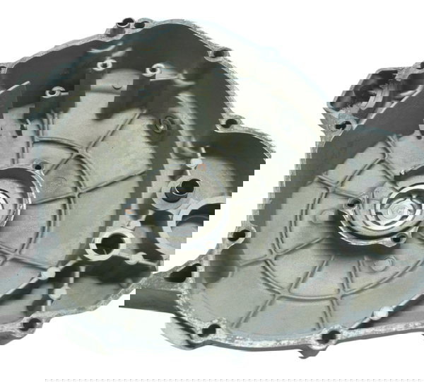 Tampa Estator Motor Esq Suzuki Dl 1000 V Strom 06-12 Orig Cinza