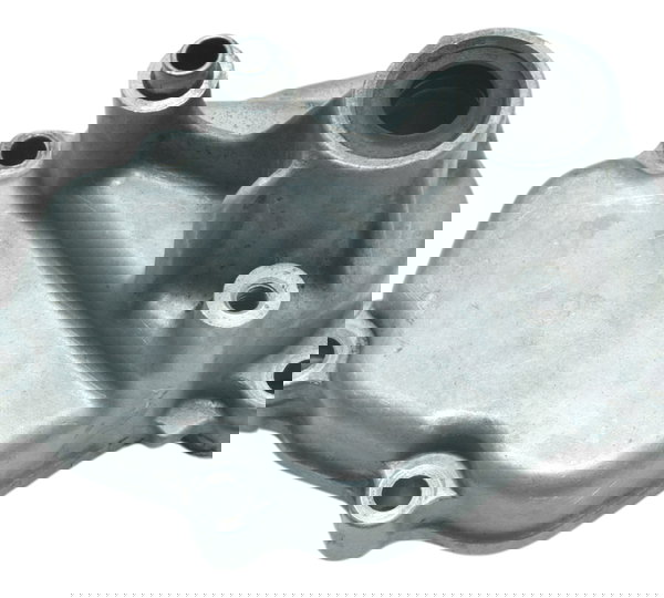 Tampa Eixo Pedal Câmbio Suzuki Dl 1000 V Strom 06-12 Orig