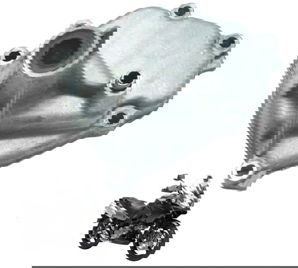 Tampa Eixo Pedal Câmbio Suzuki Dl 1000 V Strom 06-12 Orig