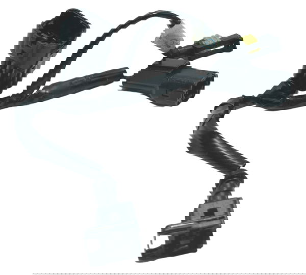 Chicote Motor Triumph Tiger 800 Xrx Xca 15-17 Original