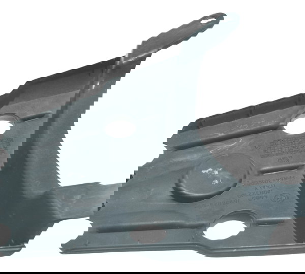 Carenagem Central Rabeta Bmw F 800 Gs 13-16 Original Preto