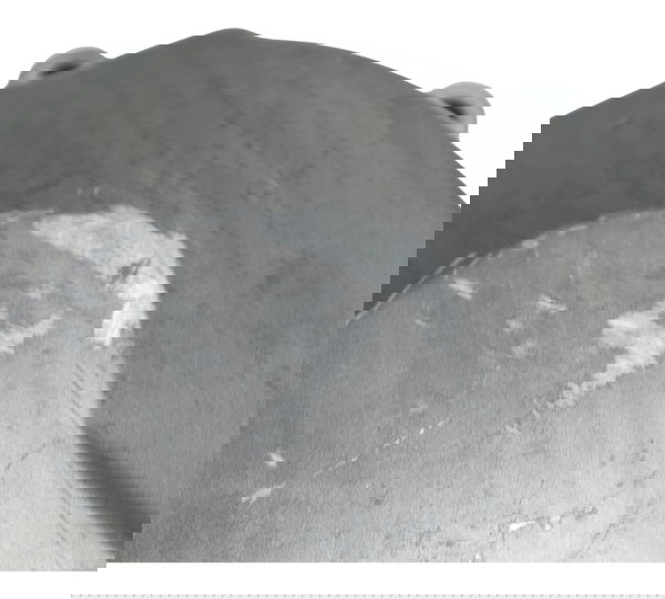 Tampa Estator C/ Detalhes Kawasaki Zx636 Zx 6r 19-24 Orig Cinza