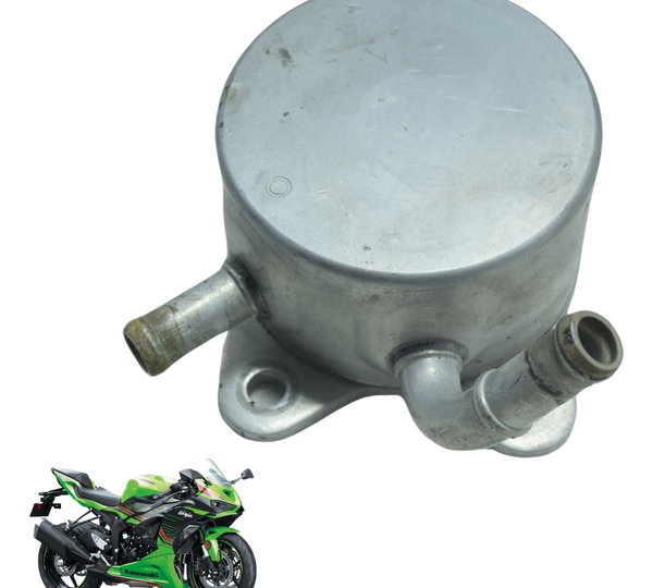 Resfriador Óleo Kawasaki Zx636 Zx 6r 19-24 Original