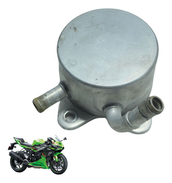Resfriador Óleo Kawasaki Zx636 Zx 6r 19-24 Original