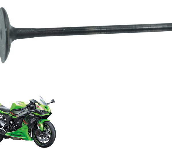 Válvula Escape Kawasaki Zx636 Zx 6r 19-24 Original
