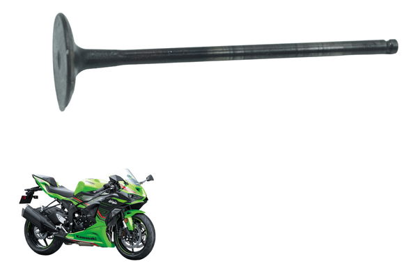 Válvula Escape Kawasaki Zx636 Zx 6r 19-24 Original