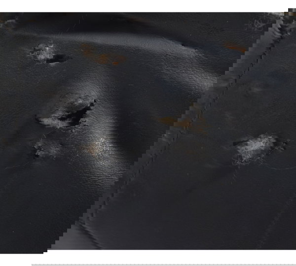 Banco C/ Detalhes Harley Electra Touring 08-13 Original