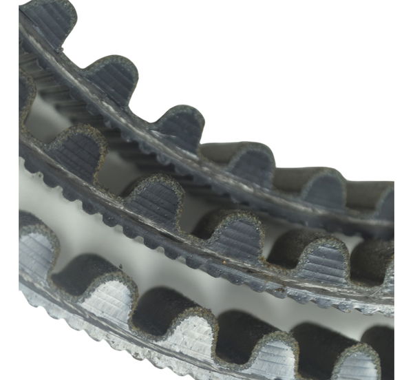 Correia Transmissão Harley Electra Touring 08-13 Paralelo