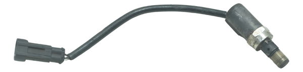 Sensor Descompressor Harley Electra Touring 08-13 Original