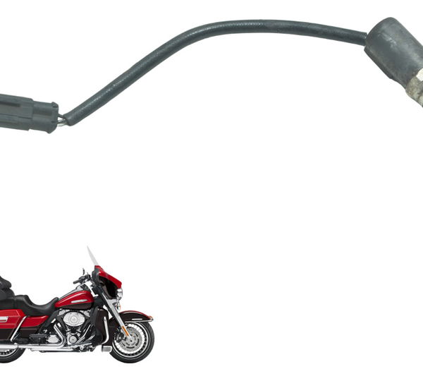 Sensor Descompressor Harley Electra Touring 08-13 Original