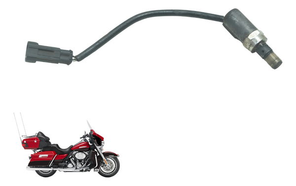 Sensor Descompressor Harley Electra Touring 08-13 Original