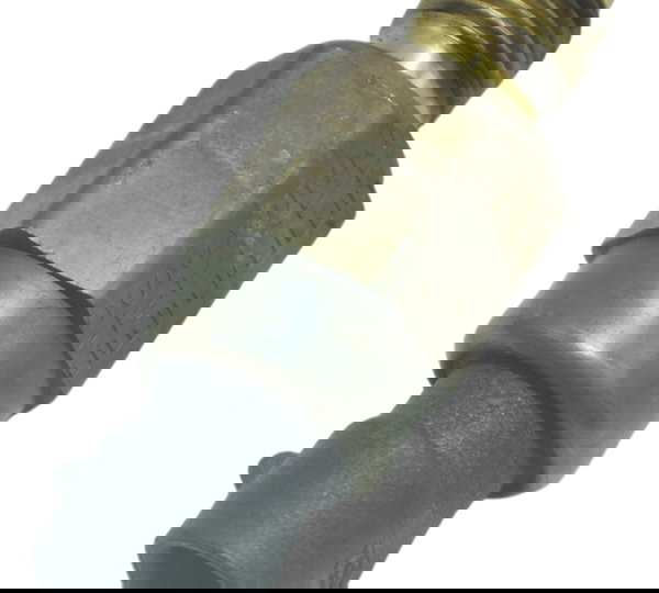 Sensor Temperatura Harley Electra Touring 08-13 Original