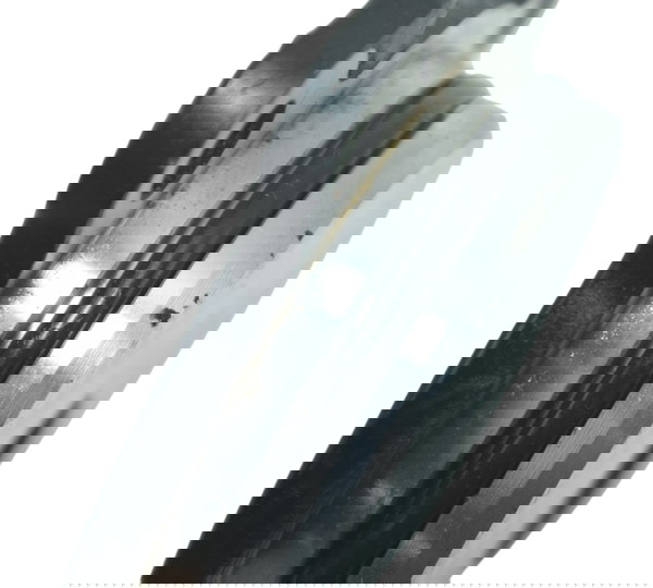 Tampa Engrenagem Partida Bmw F 800 Gs 13-16 Original