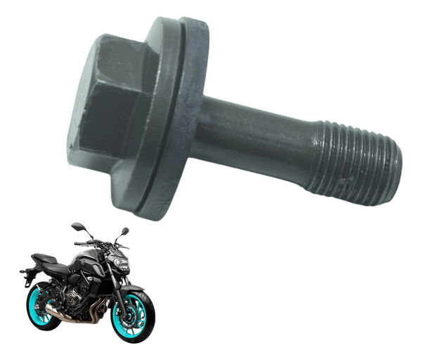 Parafuso Magneto Yamaha Mt 07 15-18 Original