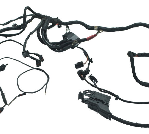 Chicote Principal Bmw F 800 Gs 13-16 Original