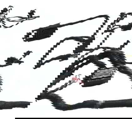 Chicote Principal Bmw F 800 Gs 13-16 Original