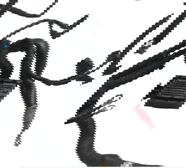 Chicote Principal Bmw F 800 Gs 13-16 Original