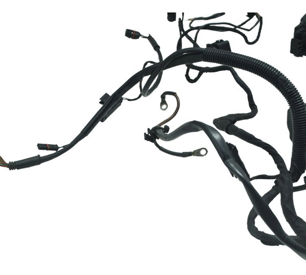 Chicote Principal Bmw F 800 Gs 13-16 Original