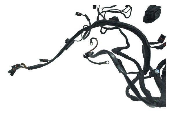 Chicote Principal Bmw F 800 Gs 13-16 Original