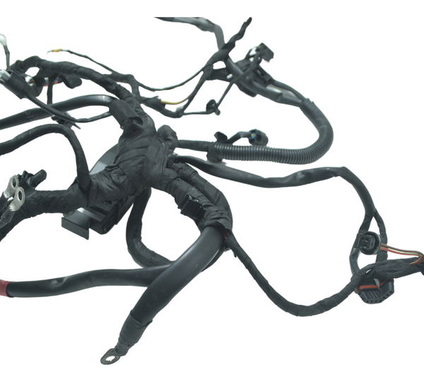 Chicote Principal Bmw F 800 Gs 13-16 Original