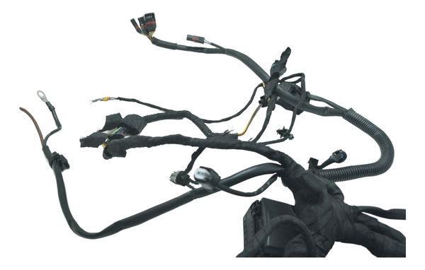 Chicote Principal Bmw F 800 Gs 13-16 Original