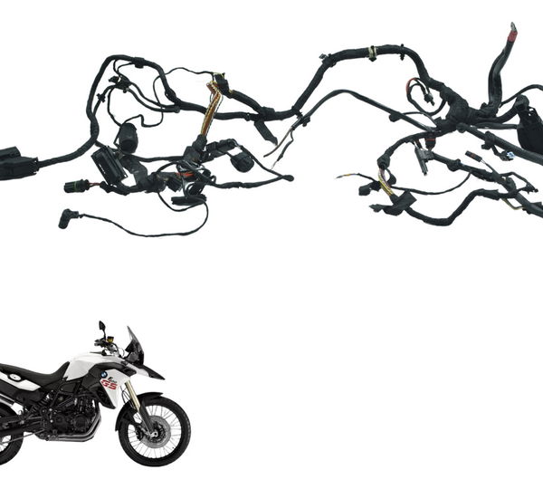 Chicote Principal Bmw F 800 Gs 13-16 Original