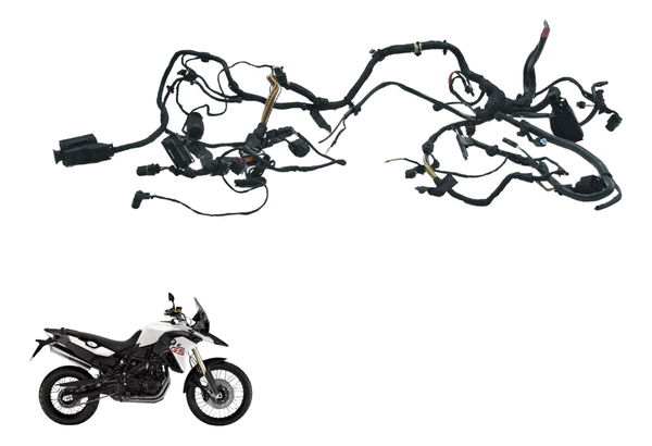 Chicote Principal Bmw F 800 Gs 13-16 Original