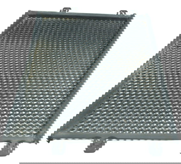 Grade Proteção Radiador Triumph Tiger 800 13-14 Original Preto