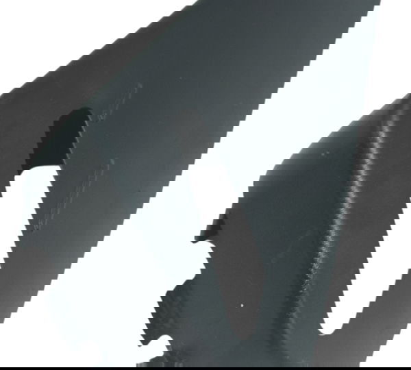 Capa Reservatório Água Avaria Triumph Tiger 800 13-14 Orig