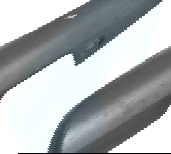 Capa Escape Triumph Tiger 800 13-14 Original