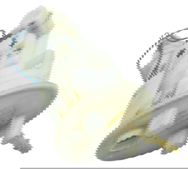 Bomba Combustível Triumph Tiger 800 13-14 Original