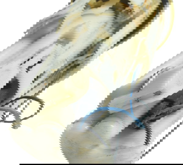 Bomba Combustível Triumph Tiger 800 13-14 Original