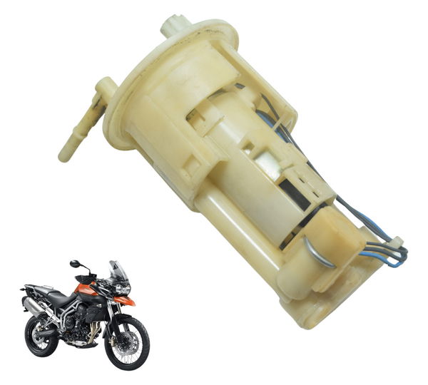 Bomba Combustível Triumph Tiger 800 13-14 Original