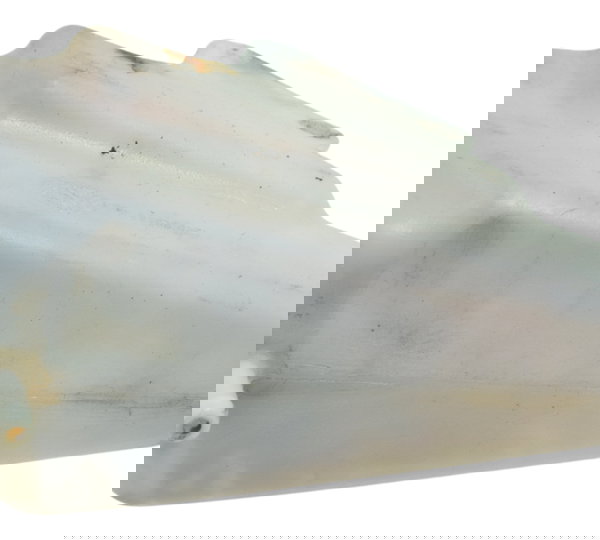 Reservatório Água Triumph Tiger 800 13-14 Original