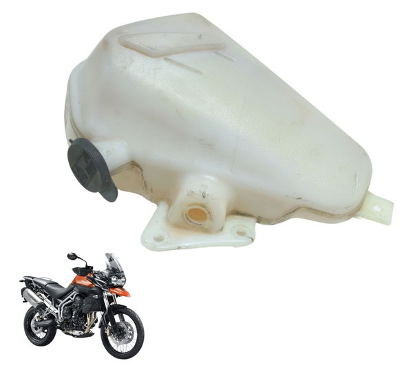 Reservatório Água Triumph Tiger 800 13-14 Original