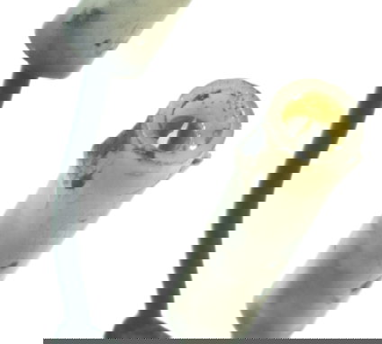 Pisca Traseiro Dir C/ Avaria Triumph Tiger 800 13-14 Orig