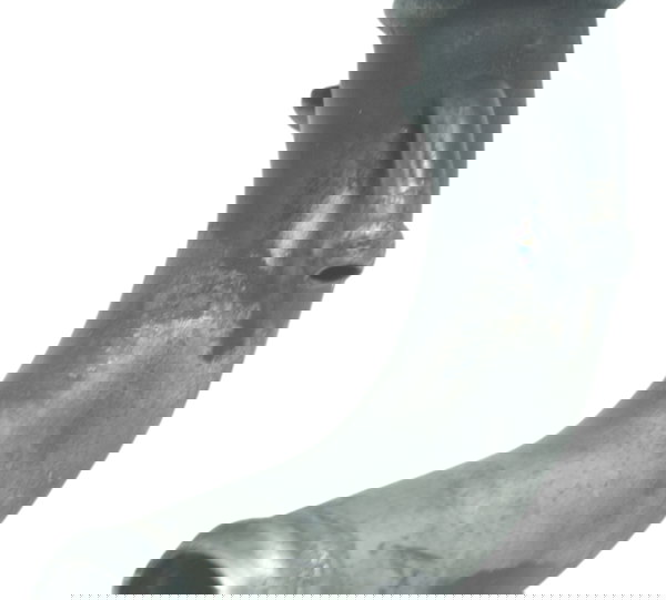 Cano Óleo Triumph Tiger 800 13-14 Original