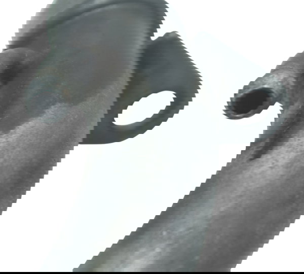 Cano Óleo Triumph Tiger 800 13-14 Original