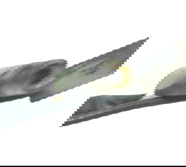 Pisca Traseiro Diant Avari Esportivo Triumph Tiger 800 13-14