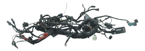 Chicote Principal Bmw R 1200 Gs R1200 04-07 Original