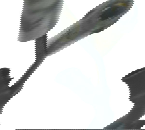 Pisca Traseiro Dianteiro Esportivo Triumph Tiger 800 13-14