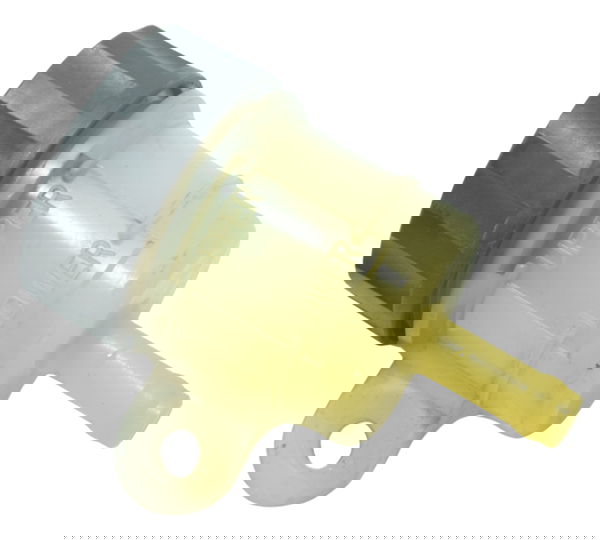 Reservatório Freio Traseiro Triumph Tiger 800 13-14 Original