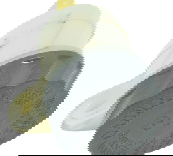 Reservatório Freio Traseiro Triumph Tiger 800 13-14 Original