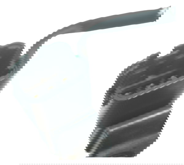 Chicote Motor Triumph Tiger 800 13-14 Original