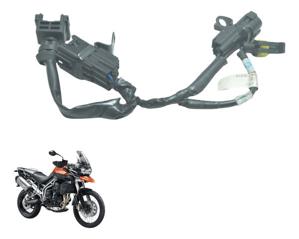 Chicote Motor Triumph Tiger 800 13-14 Original
