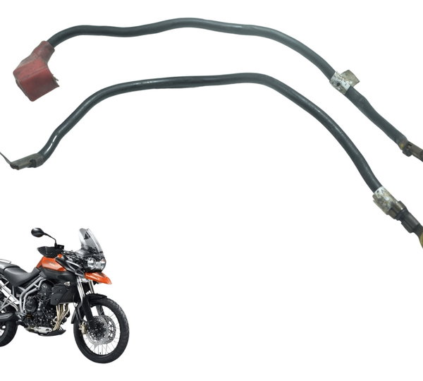 Cabo Bateria Triumph Tiger 800 13-14 Original