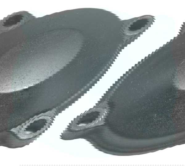 Tampa Balanceiro Triumph Tiger 800 13-14 Original